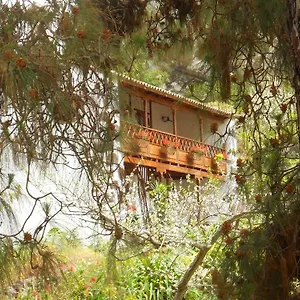 Finca Casa De La Virgen Valleseco
